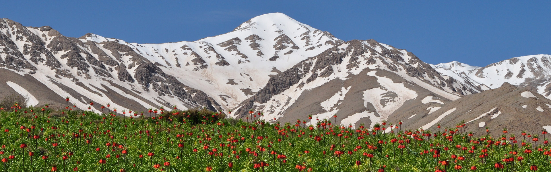 fereydunshahr-banner